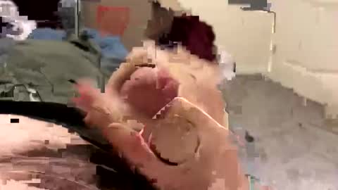 keegandaddy4200 online show from January 2026 06:07:02 AM