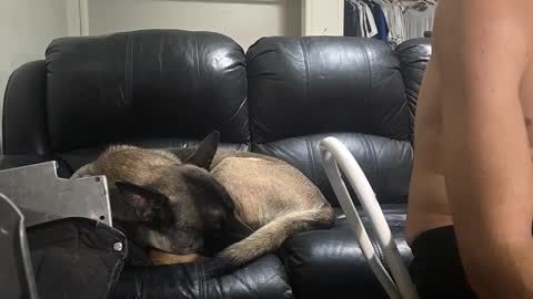 Dexter online show from February 2025 11:05:01 AM