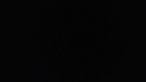 keitt online show from October 2025 08:48:01 AM