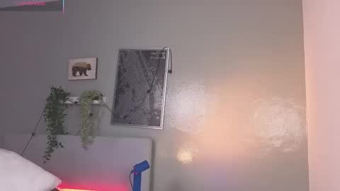   online show from September 2025 11:34:02 AM