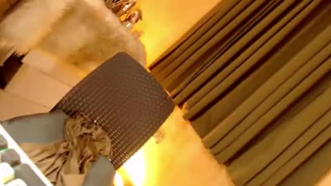 Ebony online show from September 2025 06:33:02 PM