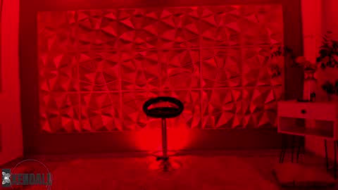 Kendall online show from December 2024 12:18:01 AM