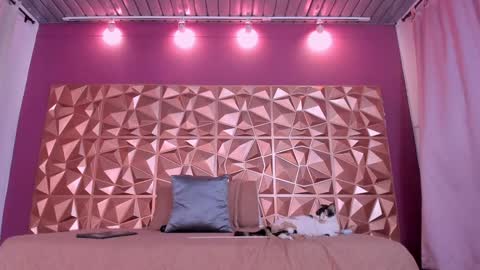 Kendall online show from December 2024 01:56:02 PM