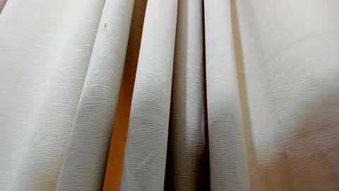 Kendal  online show from December 2024 02:22:02 PM