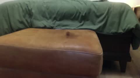 Steve online show from March 2026 12:53:01 PM