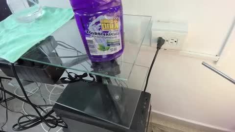 Kendra London online show from February 2026 10:52:02 AM