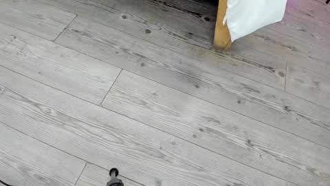 Kendra London online show from February 2026 11:19:02 AM