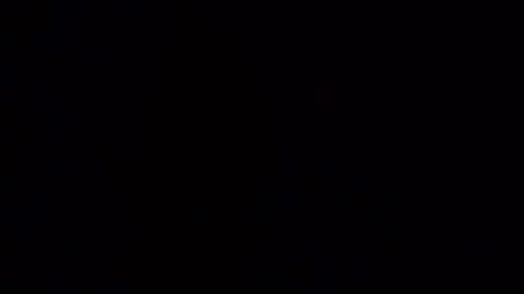 T online show from December 2024 08:34:02 PM