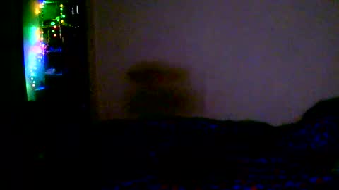 kev online show from February 2026 12:07:01 AM