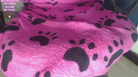 Kevin online show from February 2026 03:05:02 AM