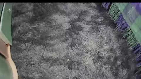 Snapshot of keylasmmith chatting on April 2026 04:22:02 PM Keyla online show from April 2026 04:22:02 PM