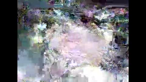 Snapshot of ki389253 chatting on March 2026 02:17:02 AM ki389253 online show from March 2026 02:17:02 AM