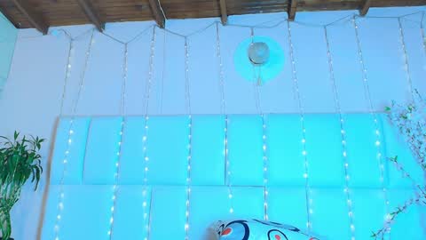    N         M online show from January 2025 11:28:02 AM