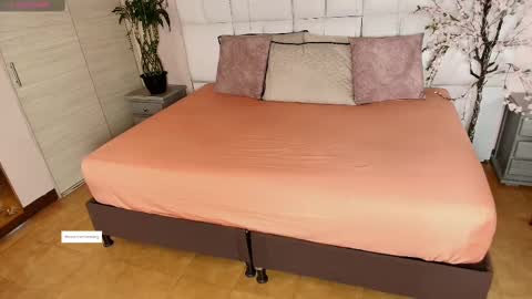    N         M online show from February 2025 11:30:02 AM