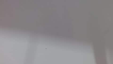 Melody online show from October 2025 12:04:02 PM