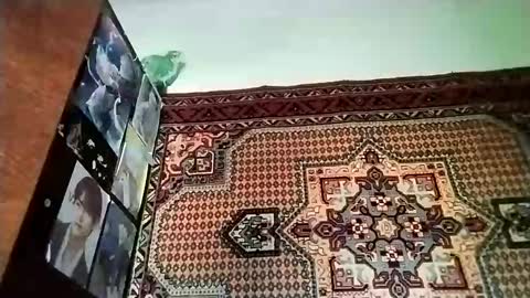 kikibang_ online show from November 2025 08:14:01 AM