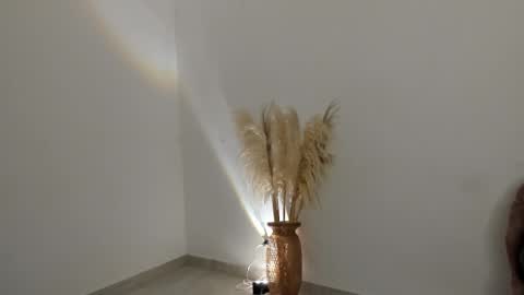 Kim Murphy online show from February 2026 11:54:02 AM