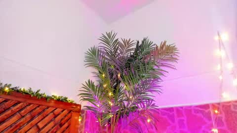 kimberly gonzalez online show from January 2025 06:45:02 AM