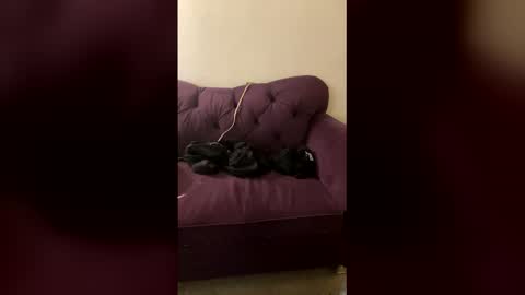 kingecstasyxxxddd online show from March 2026 08:29:02 AM