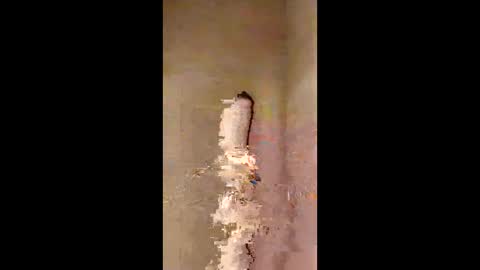 Snapshot of kini8278 chatting on February 2026 01:56:02 PM kini8278 online show from February 2026 01:56:02 PM