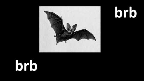 meow online show from July 2026 12:41:02 PM