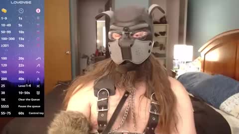 kinkywolf87 online show from December 2024 06:50:01 PM