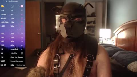 kinkywolf87 online show from December 2024 08:00:02 AM