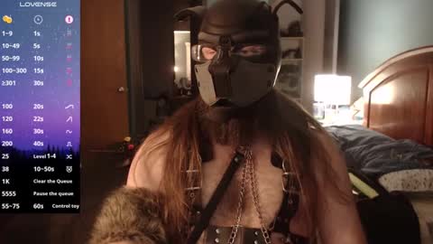 kinkywolf87 online show from December 2024 08:12:02 PM