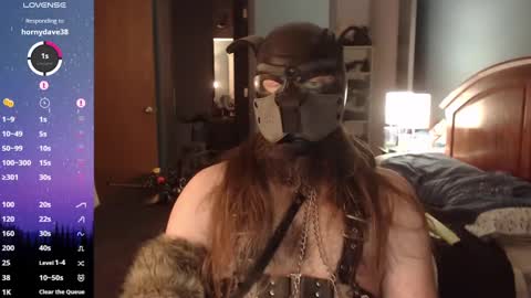 kinkywolf87 online show from December 2024 11:17:02 PM