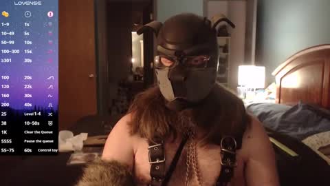 kinkywolf87 online show from January 2025 01:02:01 AM