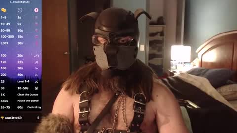 kinkywolf87 online show from January 2025 12:20:02 AM