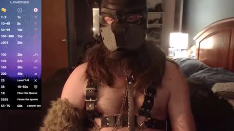 kinkywolf87 online show from February 2025 06:18:02 AM