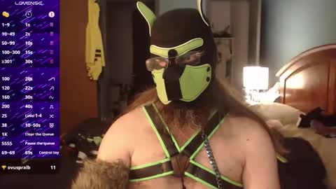 kinkywolf87 online show from September 2025 06:44:02 PM
