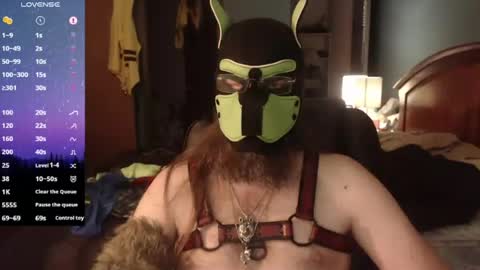 kinkywolf87 online show from June 2026 11:58:01 PM