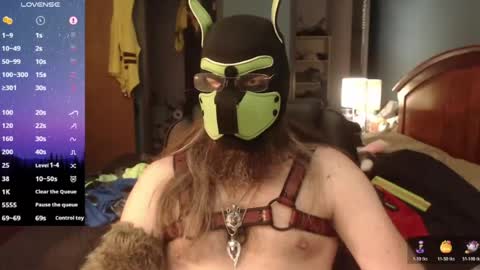 kinkywolf87 online show from June 2026 06:40:01 PM