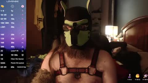 kinkywolf87 online show from June 2026 03:08:02 AM