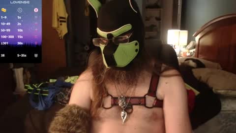 kinkywolf87 online show from June 2026 10:23:02 PM