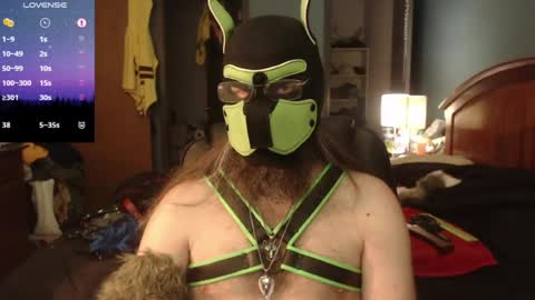 kinkywolf87 online show from June 2026 05:26:02 PM