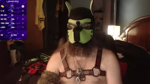 kinkywolf87 online show from June 2026 12:11:02 AM