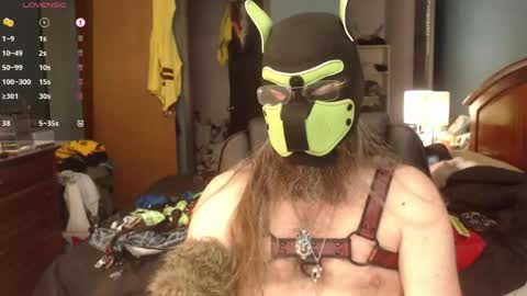 kinkywolf87 online show from June 2026 07:22:02 PM