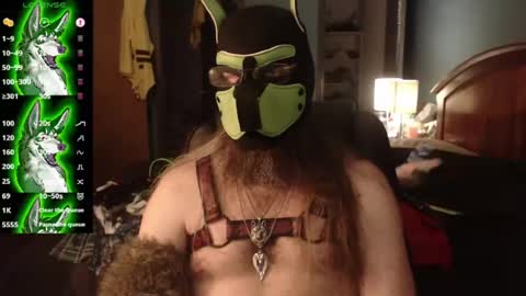 kinkywolf87 online show from June 2026 10:03:02 PM