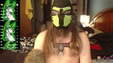 kinkywolf87 online show from June 2026 07:14:01 PM