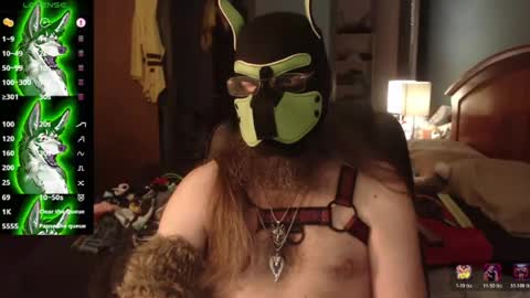 kinkywolf87 online show from July 2026 12:10:01 AM