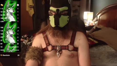 kinkywolf87 online show from July 2026 12:06:01 AM