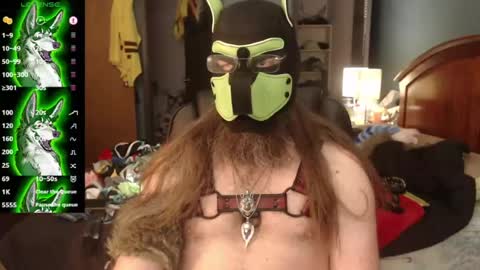 kinkywolf87 online show from July 2026 09:44:02 PM