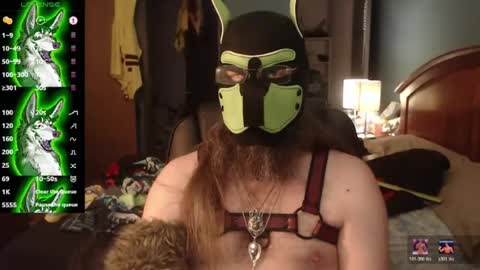 kinkywolf87 online show from July 2026 10:12:01 PM