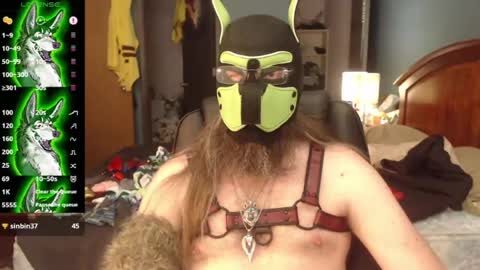 kinkywolf87 online show from July 2026 07:29:01 PM