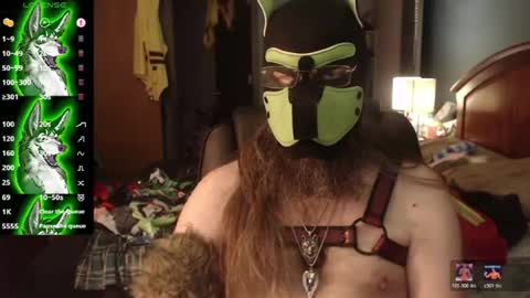kinkywolf87 online show from July 2026 03:47:01 PM