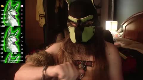 kinkywolf87 online show from July 2026 02:13:02 AM