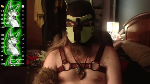 kinkywolf87 online show from July 2026 03:00:02 AM
